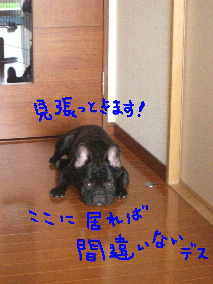 c0113109_232633.jpg