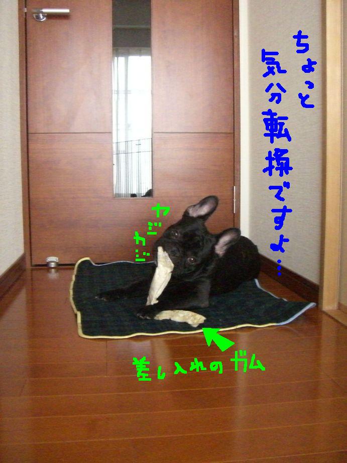 c0113109_2326670.jpg