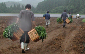 b0076710_1746782.jpg