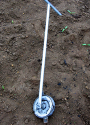 b0076710_1748728.jpg