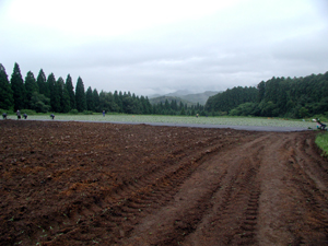 b0076710_1752243.jpg