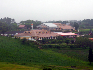 b0076710_1757944.jpg