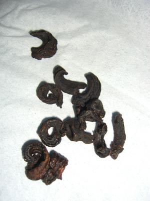 c0023323_748304.jpg
