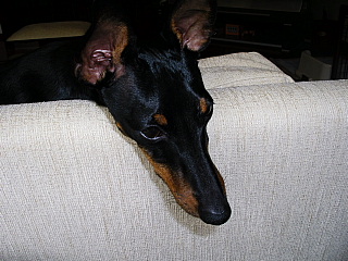 c0123149_14581371.jpg