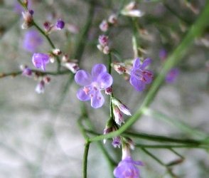 f0136850_030075.jpg