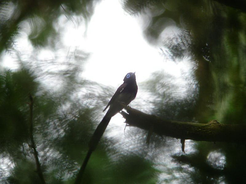 f0103860_23275433.jpg