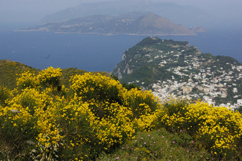 d0064366_13425933.jpg