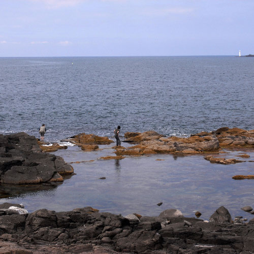 e0100772_2053226.jpg