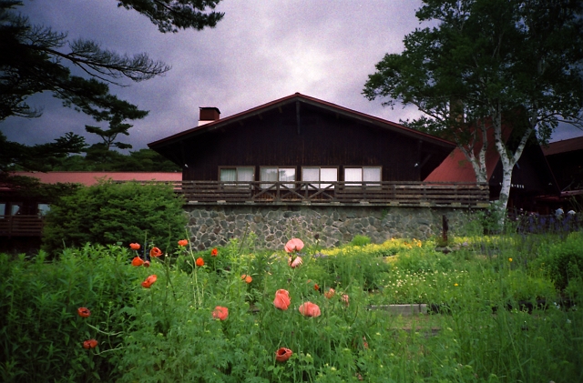 f0115475_192888.jpg