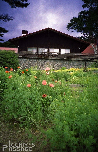 f0115475_1943425.jpg