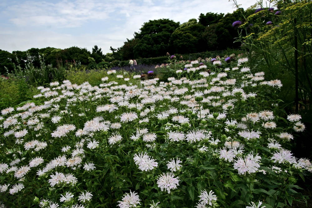 a0083081_15282860.jpg