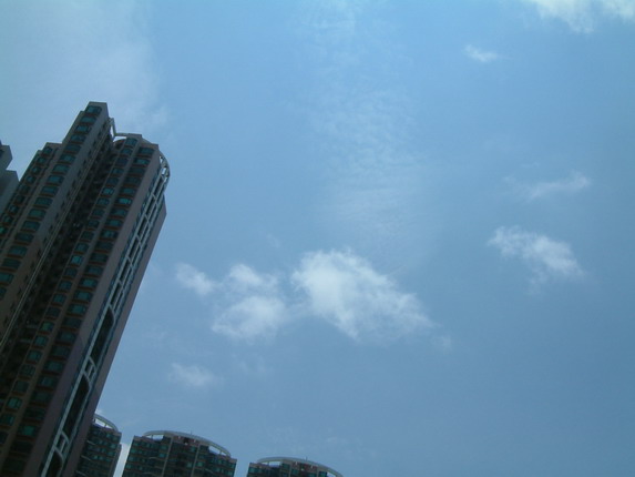 d0112881_3134688.jpg