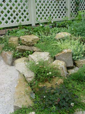 e0008586_22185737.jpg