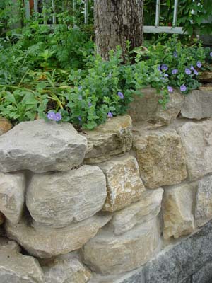 e0008586_22192011.jpg