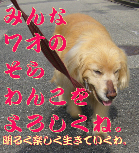 c0085188_021430.jpg