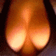 e0059289_16383928.gif