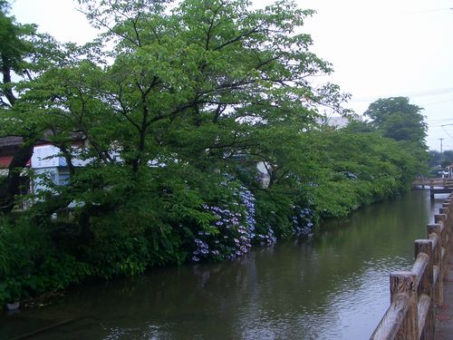 d0069498_1731427.jpg
