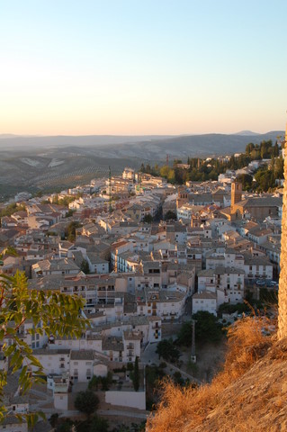 e0061699_771761.jpg