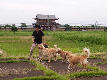 d0080601_2359124.jpg