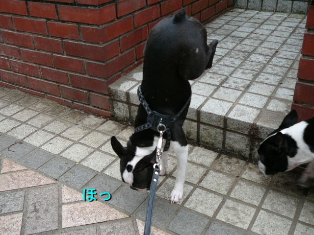 d0070702_7222053.jpg