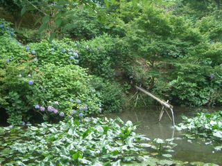 b0061107_16414168.jpg