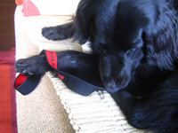 c0012120_2011799.jpg
