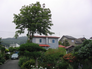 e0111220_21404515.jpg