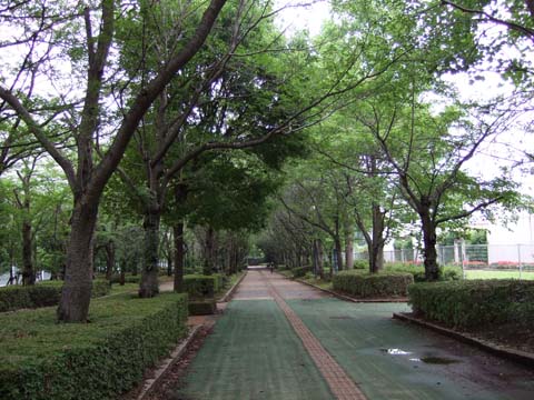 f0147025_16231728.jpg