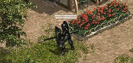 a0099729_134156.gif