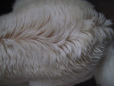 b0006329_1275659.jpg