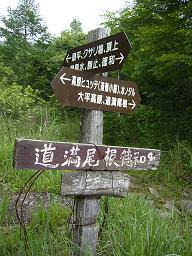 f0065941_1058935.jpg