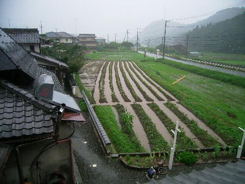 c0072843_195212.jpg