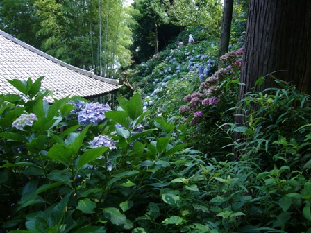 c0122445_13562114.jpg