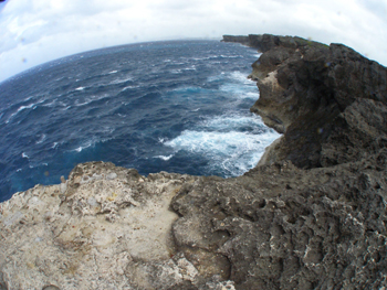 d0065247_20375435.jpg