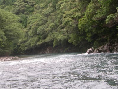 f0115851_1857380.jpg
