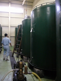a0048852_15584527.jpg