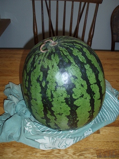 e0004756_1718112.jpg