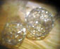 d0029958_197305.jpg