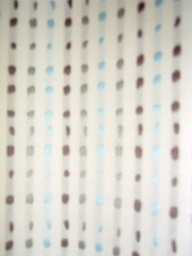 d0113758_2344649.jpg