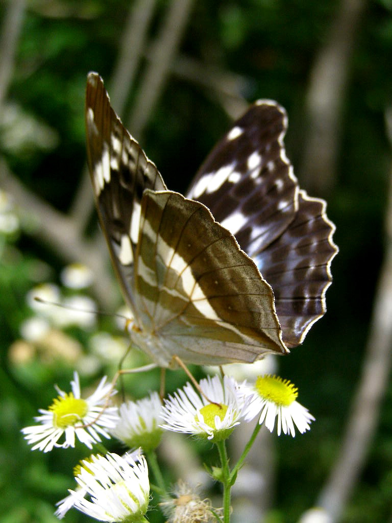 e0064158_1105220.jpg