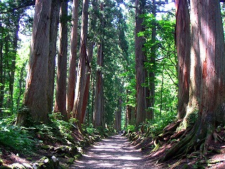 e0001860_2137516.jpg
