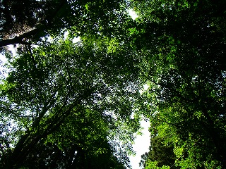 e0001860_21384264.jpg
