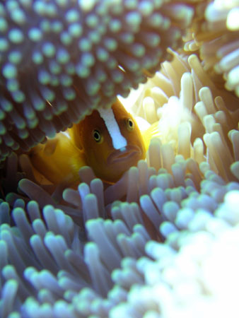 b0062363_2213564.jpg