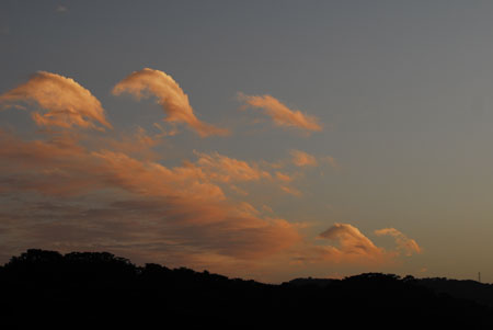 b0062363_2223725.jpg