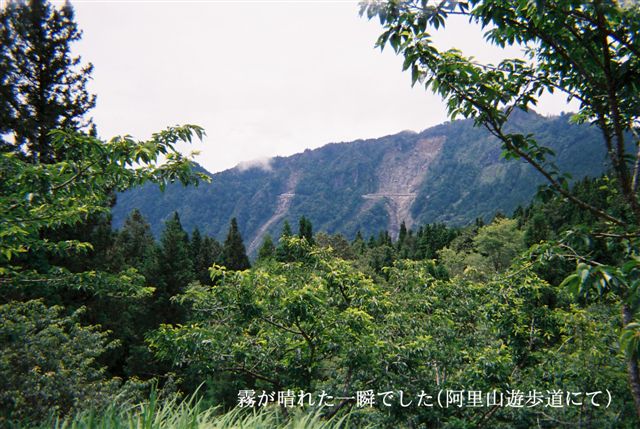 c0110871_1251567.jpg