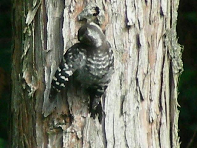 e0052074_22521521.jpg