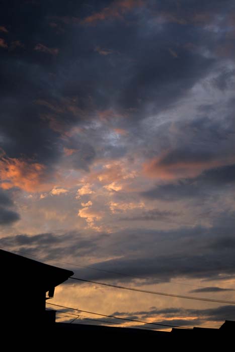 b0089483_118252.jpg