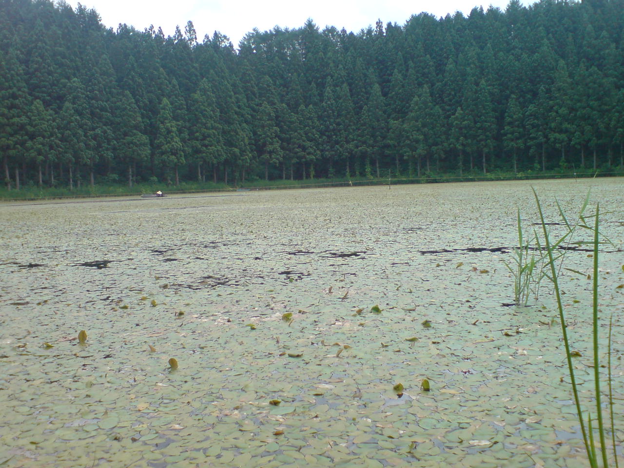 f0137483_849649.jpg