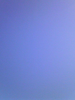 c0082785_17335678.jpg