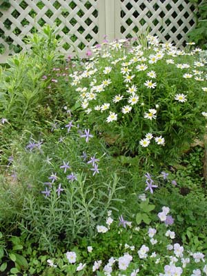 e0008586_2012271.jpg